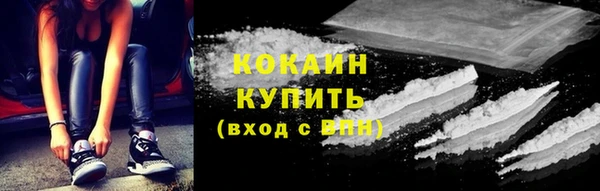 прущие крисы Бородино