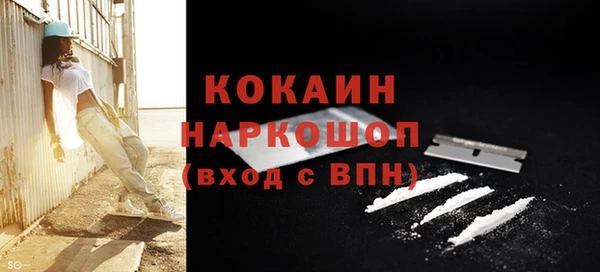 прущие крисы Бородино
