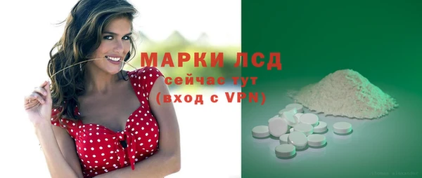 прущие крисы Бородино
