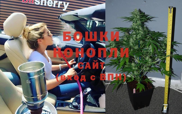 прущие крисы Бородино