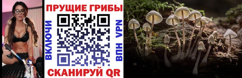 Псилоцибиновые грибы ЛСД  Неман 